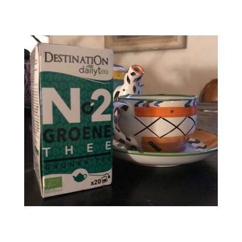 Destination THE VERT NATURE CEYLAN 100 X 2 G